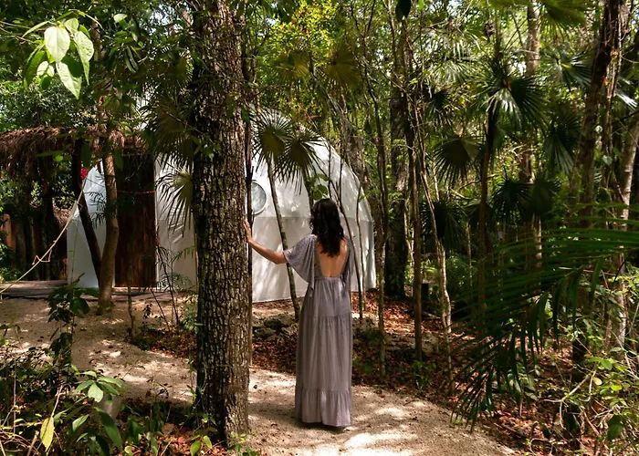 Jungle Glamping K'u' Kuk *