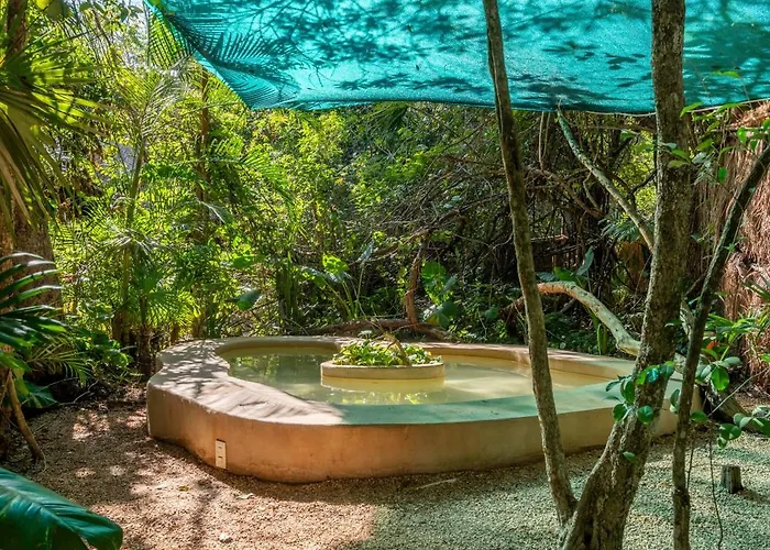 Jungle Glamping K'u' Kuk *